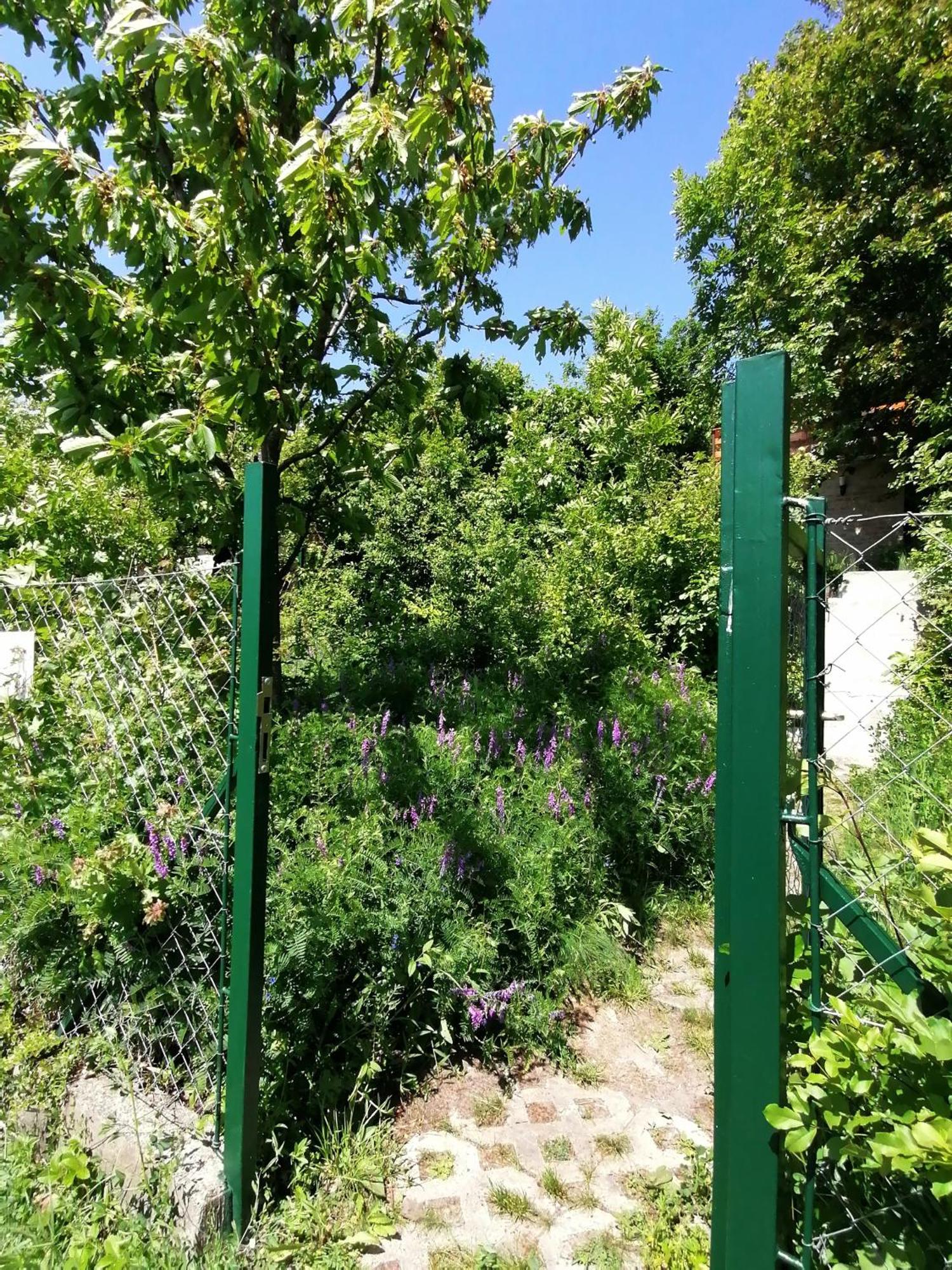 Barkoca Es Szepkilatas Vendeghaz / *