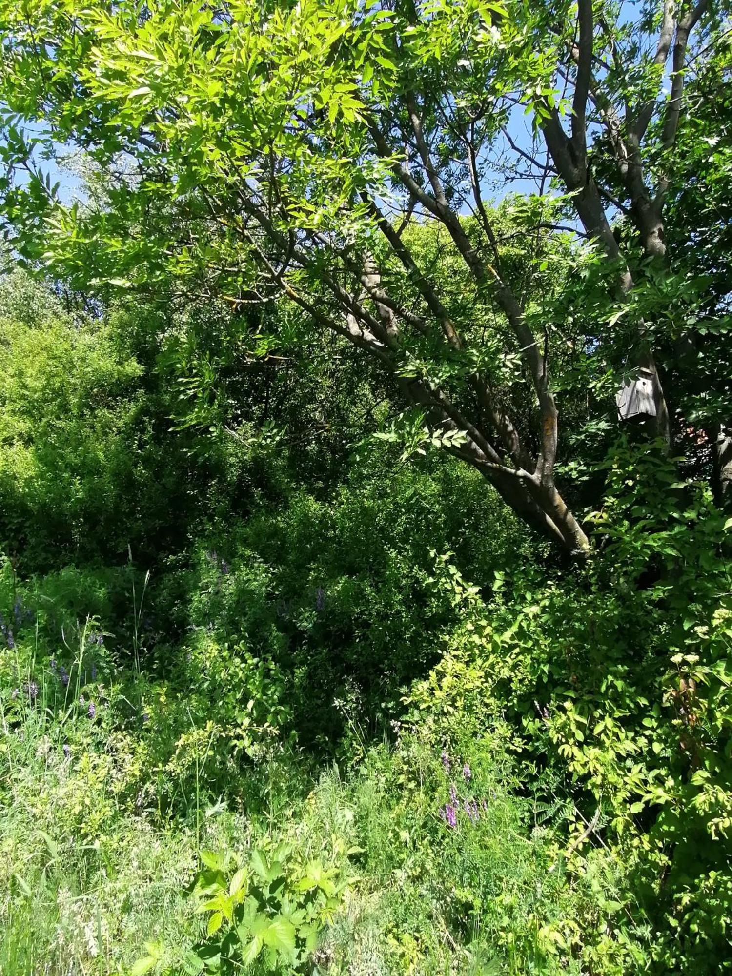 Appartement Barkoca Es Szepkilatas Vendeghaz /